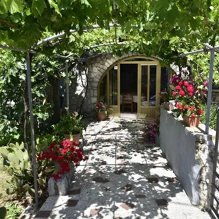 Nocleg ze śniadaniem Tom