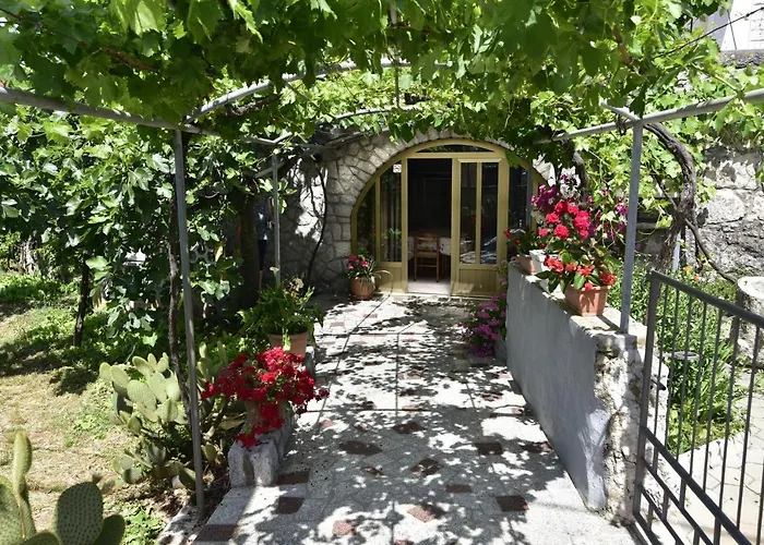 krevet i doručak Tom