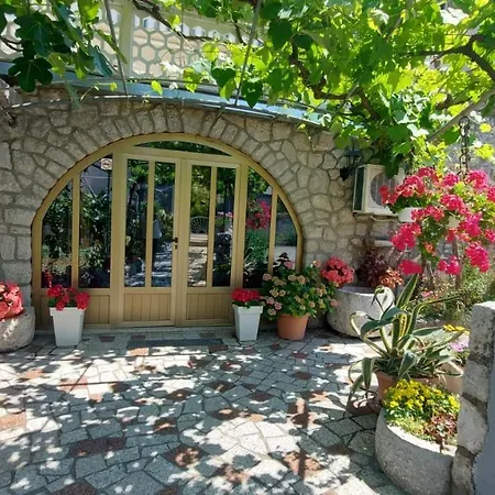 Tom מאלינסקה